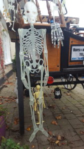 Skeleton Express