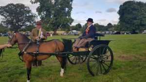 Overall winner - George Acres and his hackney pony put to a customised back to back
