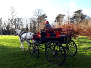Farmleigh House Christmas carriage rides Dec. 2019
